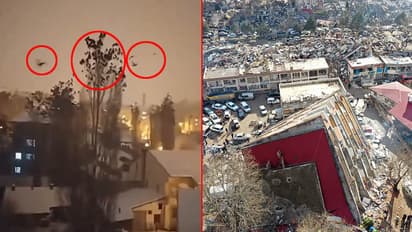 birds alarma turkey earthquake