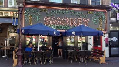 Amesterdam cannibis cafe