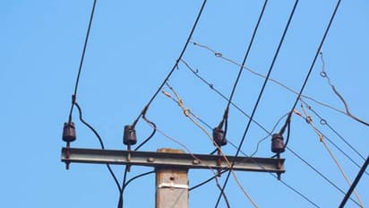 electricity theft