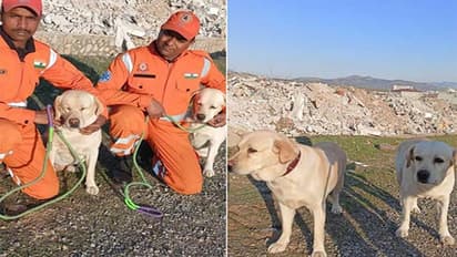 romeo julie turkey rescue2