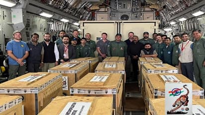 Cheetah in IAF plane