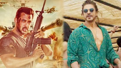 Shah Rukh Khan Entry In Salman Khan Starrer Tiger 3