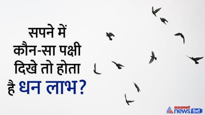 Dream-Astrology-about-birds