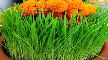 jaware visarjan 2023