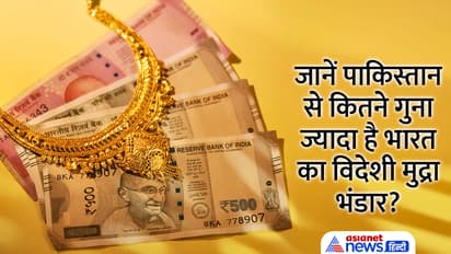 Foreign Exchange Reserve