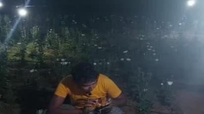 hazaribagh news farmer cultivates flowers under light of led bulb in dark