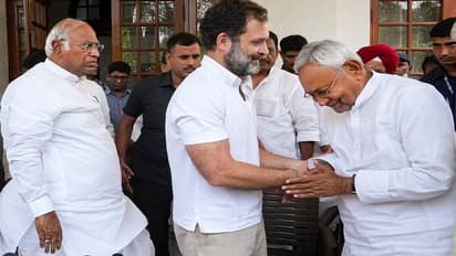 Nitish With Rahul Gandhi 