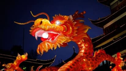 chinese dragon