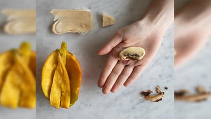 Mango seed benefits and uses