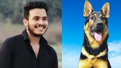Jhansi News pet dog kept trying to save owner from suicide later died due to overdose