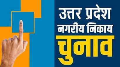 up nikay chunav 2023 voting