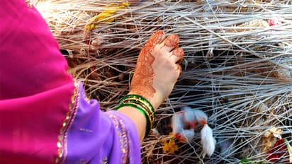 vat savitri vrat 2023