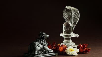 budh pradosh vrat may 2023