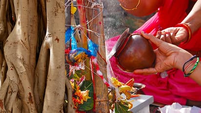 vat savitri purnima vrat 2023