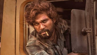 pushpa 2 ranveer singh to make cameo in allu arjun