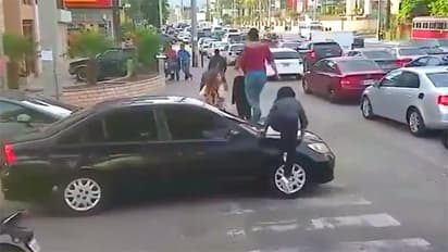 zebra crossing video