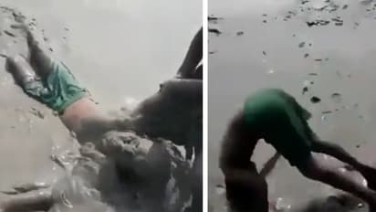 boy jumping into mud pond