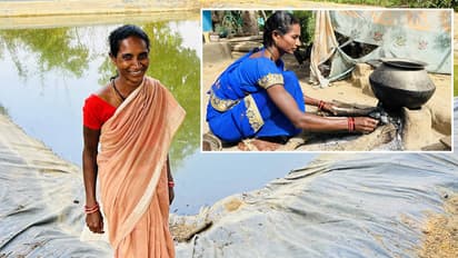 Domestic Violence Survivor