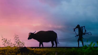 halharini amawasya 2023