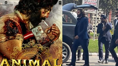 Ranbir Kapoor Animal Pre Teaser