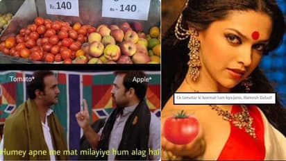 Tomato hilarious meme