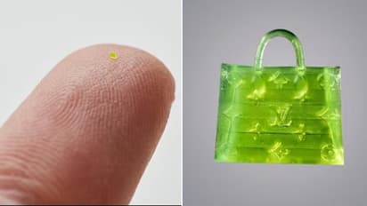 smallest bag in the world