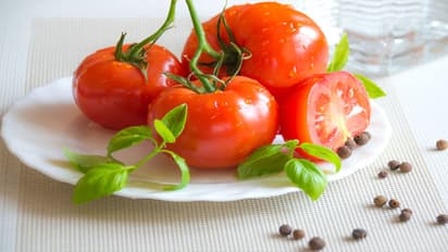 tomato price