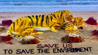 International Tiger Day