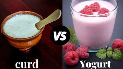 Curd Vs Yogurt