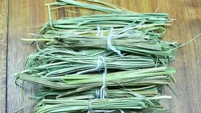 kushgrahani amawasya 2023