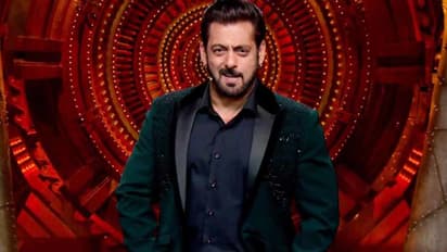 Bigg Boss 17 contestants