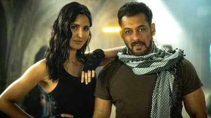 Salman Khan s Tiger 3