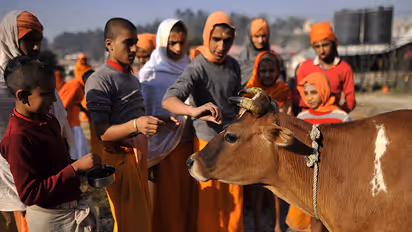 govatasa dwadashi 2023