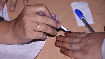 MP Election Counting