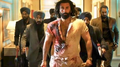 animal box office collection day 5