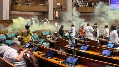 Parliament security breach 