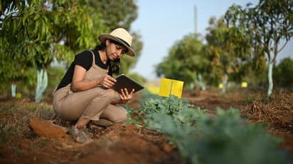 बीपीएससी ब्लॉक कृषि अधिकारी अन्य पदों पर भर्ती 2024