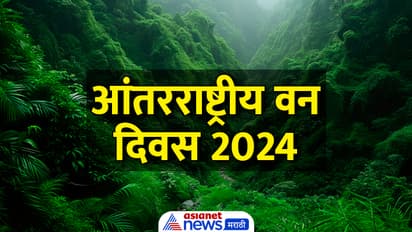 International Day of Forests 2024