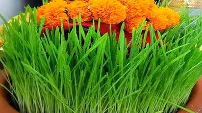 chaitra navratri 2024 jaware visarjan