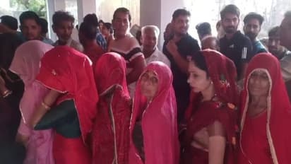 rajasthan election today