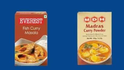 MDH Evrest Mashale Ban in Singapore Hongcong