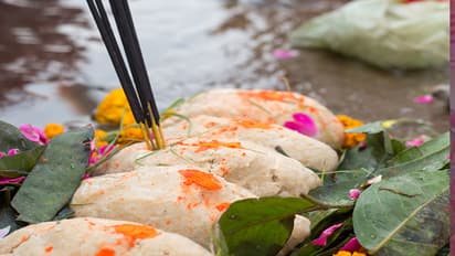 vaishkh amawasya 2024