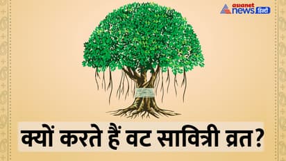 Vat-Savitri-Amavasya-2024