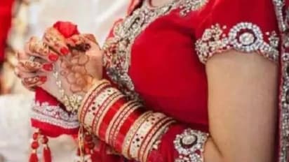 pali rajasthan dulhan