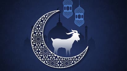 bakra eid 2024