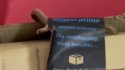 Amazon package