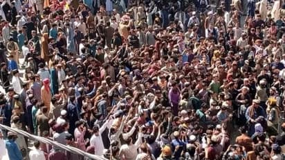 Afghanistan Fans celebrate