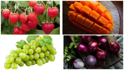 famous foods of maharastra