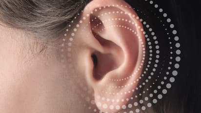 ears shap samudra shastra