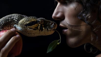 man bite snake